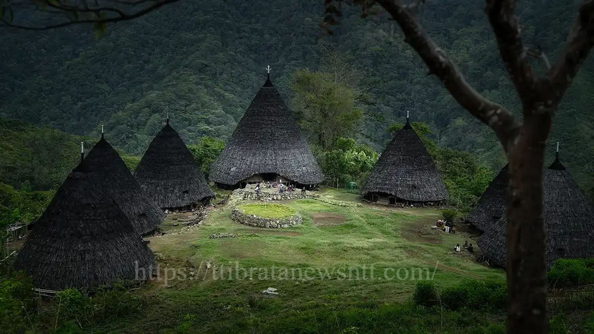 https://ttibratanewsntt.com/