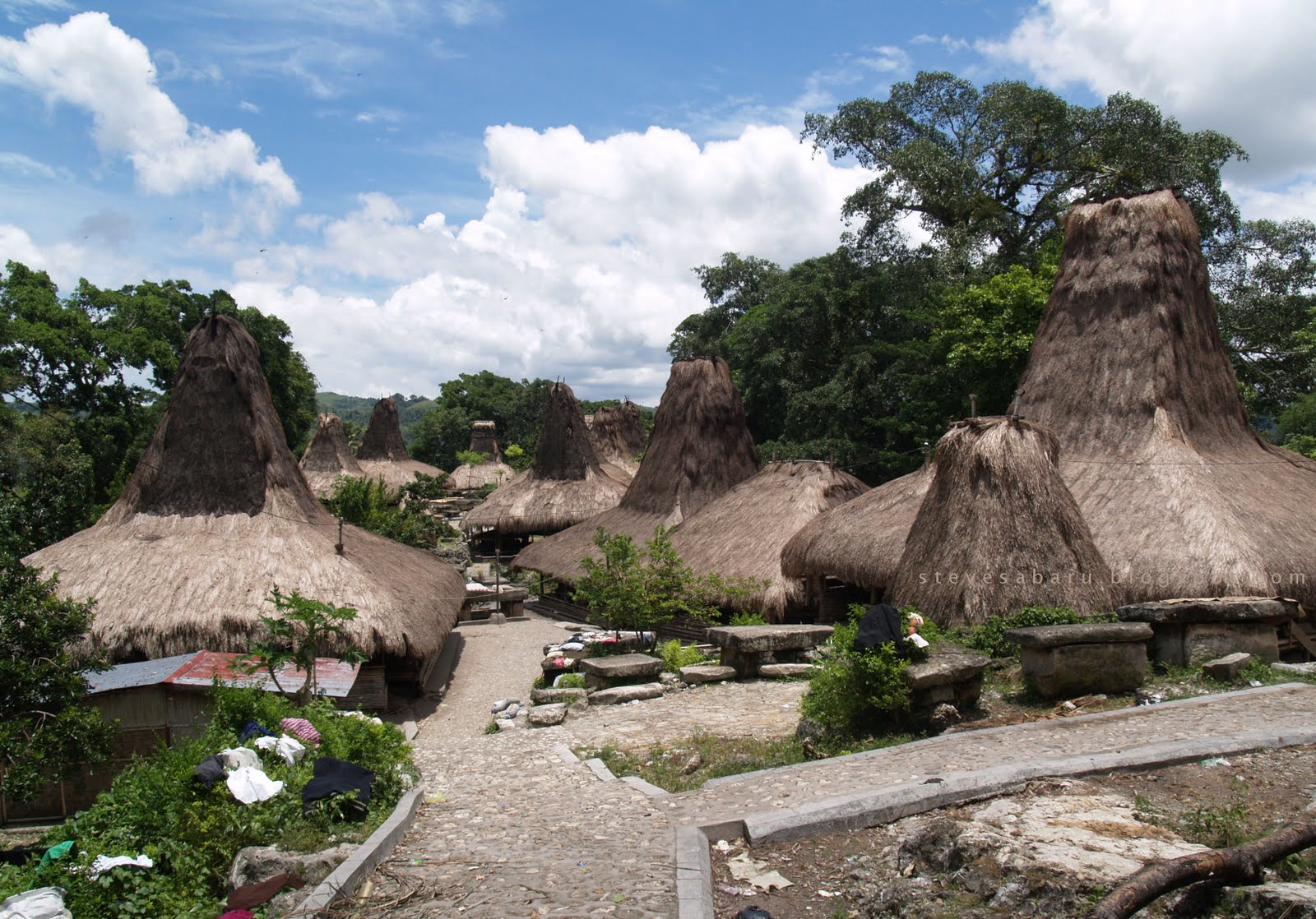 Wacana Pemekaran Kabupaten Sumba Selatan di Nusa Tenggara Timur Hadapi Tantangan Infrastruktur